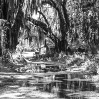 Gallery 1 - The Olde South Photography Series