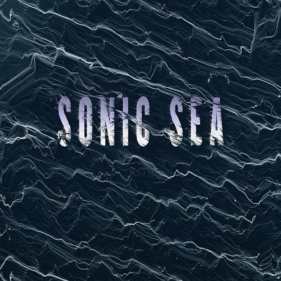 Gallery 2 - Environmental Films: Divest & Sonic Sea