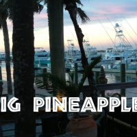 Big  Pineapple