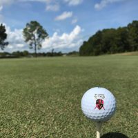 Gallery 2 - St. Johns Golf Club