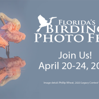 2022 Florida's Birding & Photo Fest | APRIL 20-24