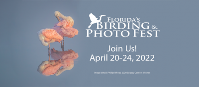 2022 Florida's Birding & Photo Fest | APRIL 20-24