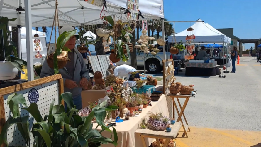 Wednesday Pier Market | MAY 8