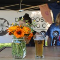 Gallery 1 - STA Brewer's Fest | MAY 6, 2023