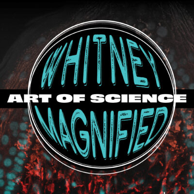 Whitney Magnified – Art of Science