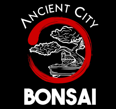 Ancient City Bonsai