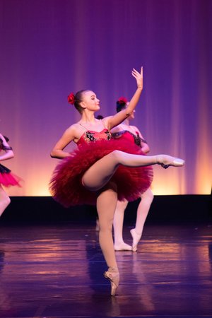Gallery 3 - The Dance Company
