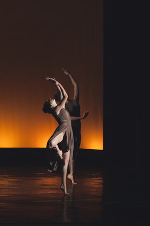 Gallery 5 - The Dance Company