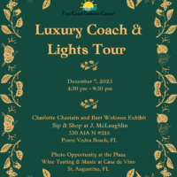 Luxury Coach & Lights Tour