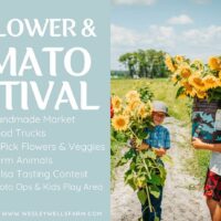 Sunflower & Tomato Festival