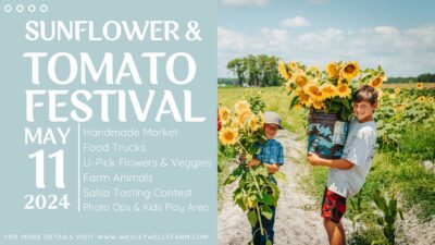 Sunflower & Tomato Festival