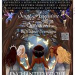 Saint Augustine Sisterhood Book Launch Extravaganza