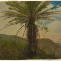 Lecture: Maggie Cao, Picturing Botanical Imperialism in the Americas