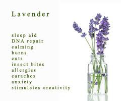 I Love Lavender! Essential Oil Blending Class